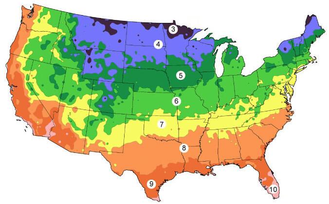 Gardening With Grow Bags: Complete Guide for Zones 5 & 6 — Fox Run  Environmental Education Center