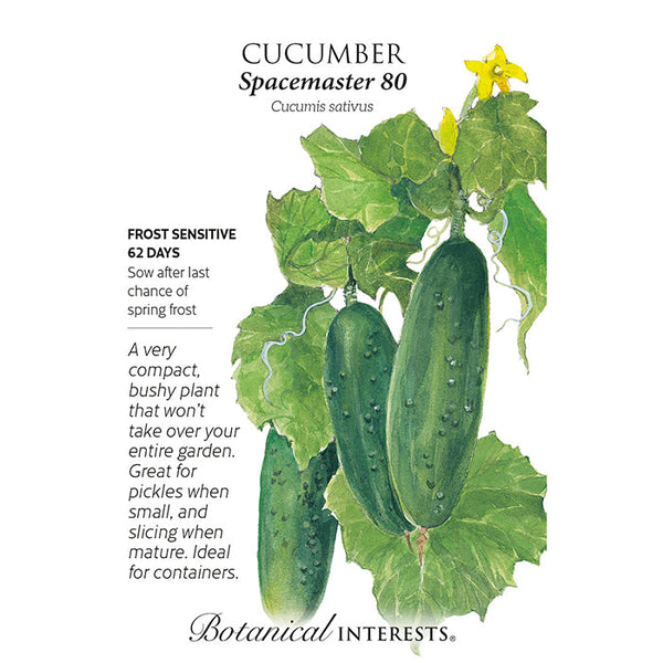 Cucumber Spacemaster