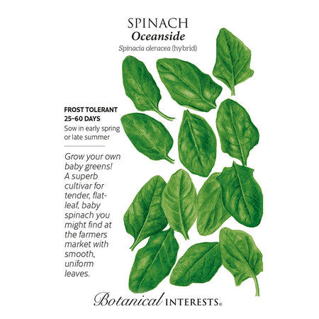 Spinach Oceanside hybrid