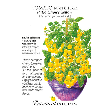 Tomato  Cherry Patio Yellow hybrid