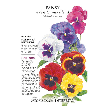 Pansy Swiss Giants Blend