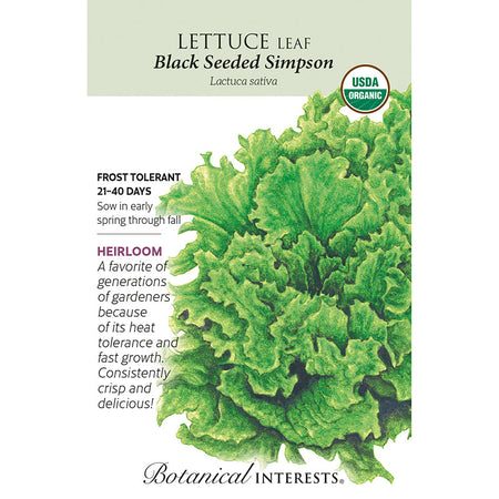 Lettuce  Leaf Black Sd Simpson Org