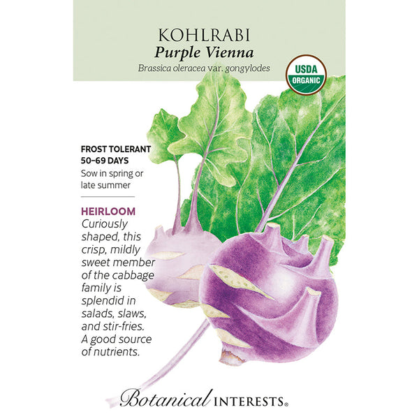 Kohlrabi Purple Vienna Org