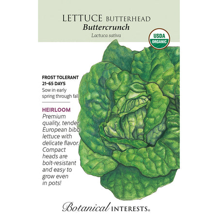 Lettuce  Butterhead Buttrcrnch  Org