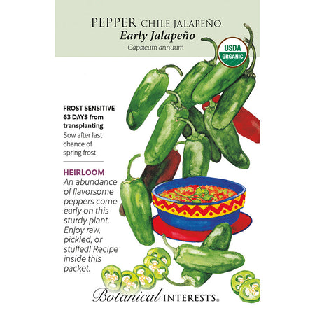 Pepper Chile Jalapeno Early Org