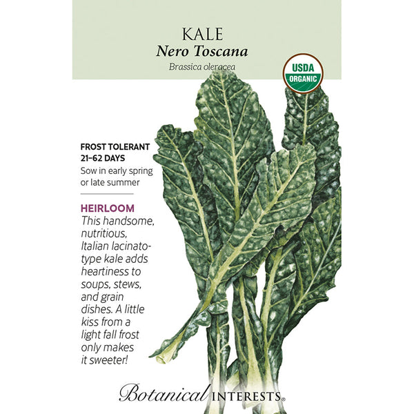 Kale Italian Nero Toscana Org