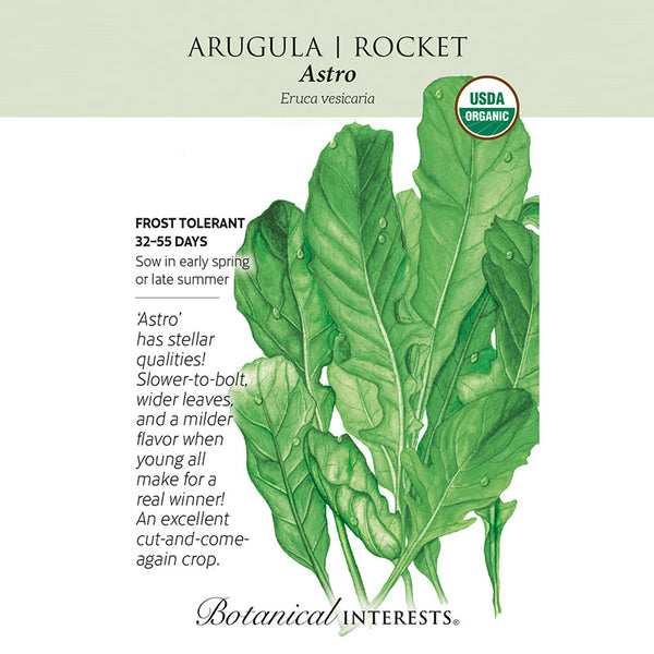 Astro Arugula/Rocket Seeds