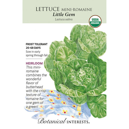 Lettuce  Romaine Little Gem  Org