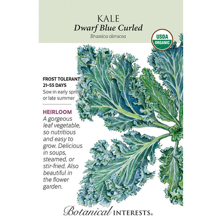 Kale Dwarf Blue Curled Org