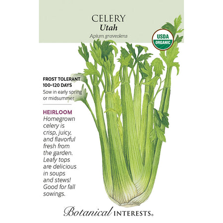 Celery Utah Org