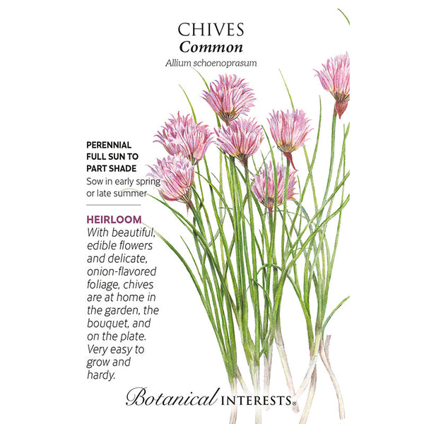 Chives Common