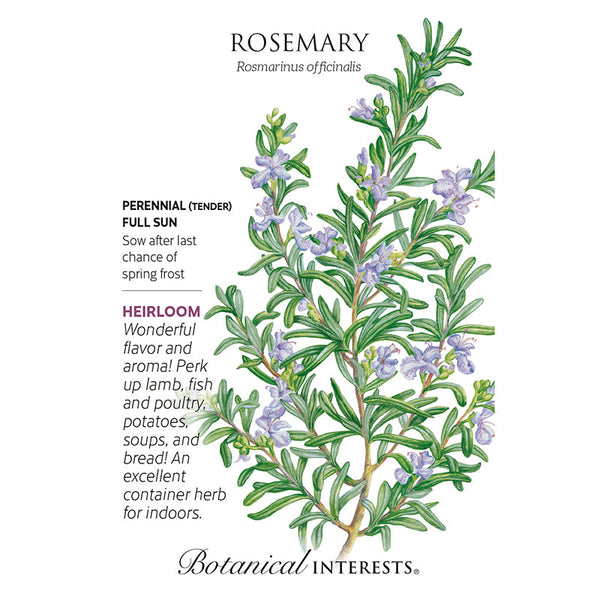 Rosemary