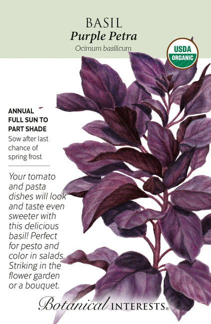 Purple Petra Basil Seeds