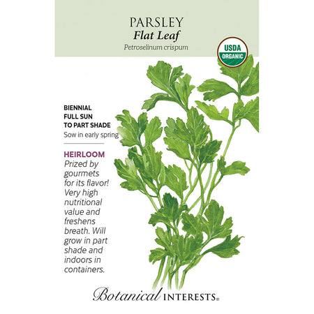 Parsley Flat Leaf Org