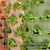 Garden Tower 2™, 50-Plant Composting Vertical Garden Planter