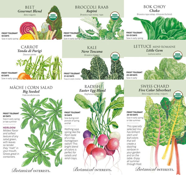 Fall Vegetable Collection