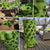 Garden Tower 2™, 50-Plant Composting Vertical Garden Planter